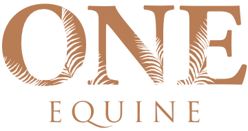 One Equine